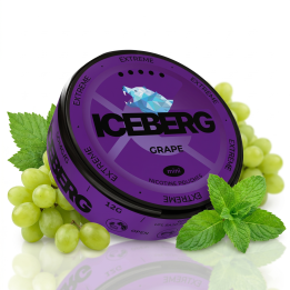 Iceberg Mini Grape - 50MG