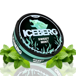 ICEBERG Sweet Mint - 70MG