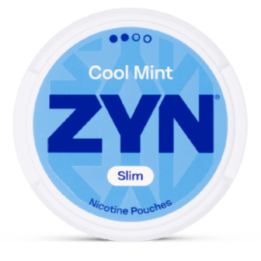 ZYN COOL MINT - 6MG