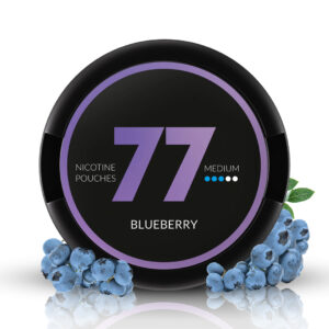 77 Blueberry Ice Medium - 16MG
