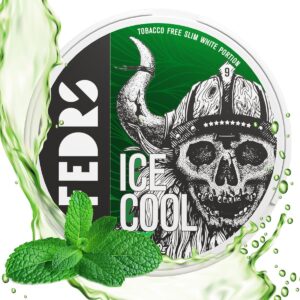 FEDRS Ice Cool Hard Mint - 65MG