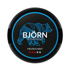Bjorn Frozen Mint Medium – 14MG