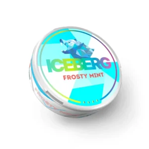 Iceberg Frosty Mint – 50MG