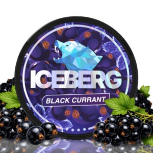 Iceberg Black Currant – 50MG