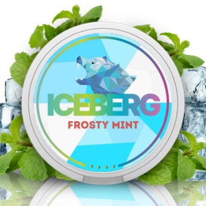 Iceberg Frosty Mint – 50MG